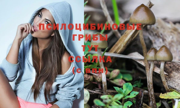 кокс Баксан