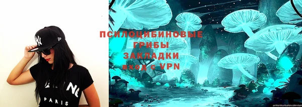 кокс Баксан