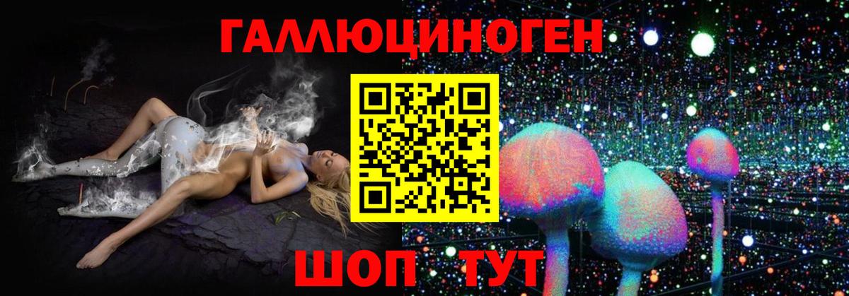 Галлюциногенные грибы прущие грибы Белово