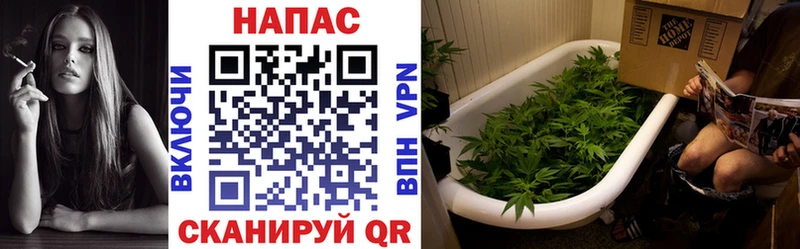 Шишки марихуана THC 21%  даркнет сайт  Белово 